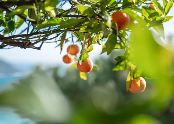 Hotell Le Roquebrune-Cap-Martin