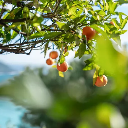 Hotel Le Roquebrune-Cap-Martin