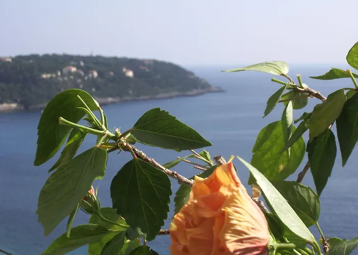 Le Roquebrune-Cap-Martin